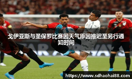 戈伊亚斯与圣保罗比赛因天气原因推迟至另行通知时间